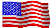[US Waving Flag]